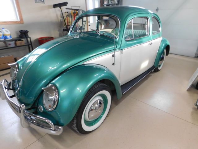 1955 Volkswagen VW Beetle 1955 Volkswagen Beetle - Classic