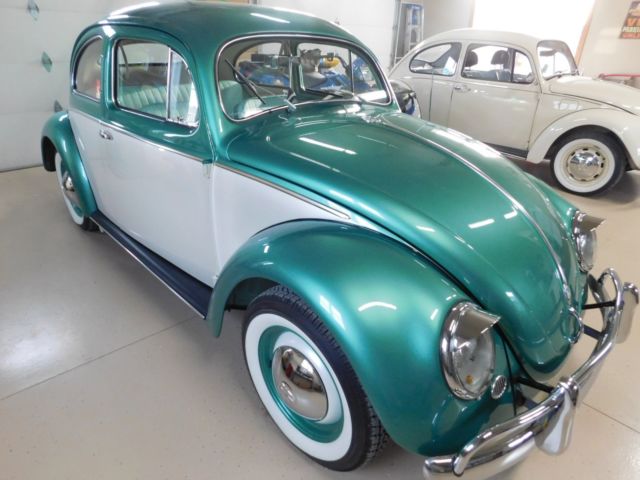 1955 Volkswagen Beetle - Classic - photo 3