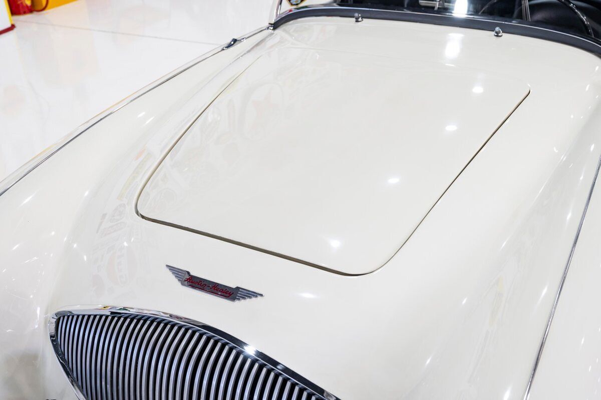 1956 Austin-Healey 100-4 BN2 - photo 11