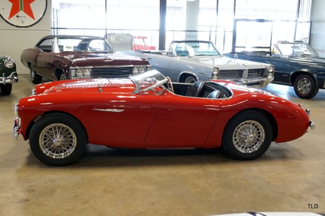 1956 Austin Healey 100-4 Le Mans - photo 3