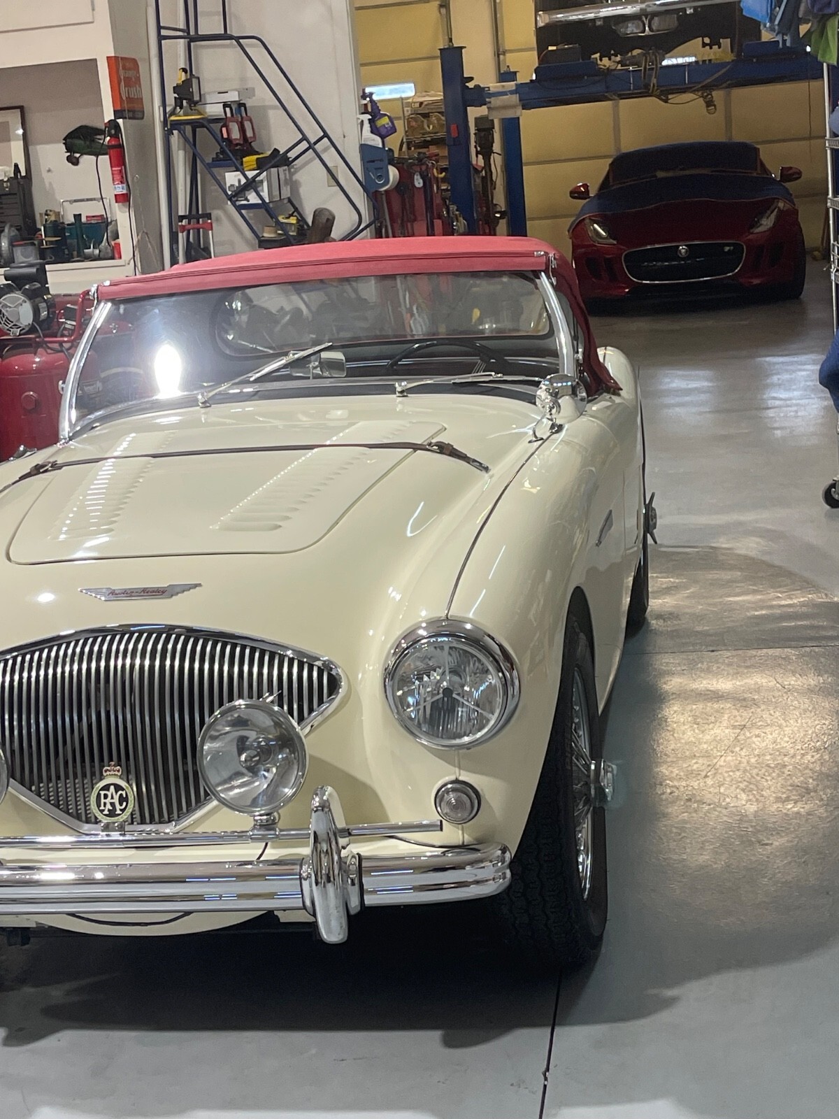1956 Austin Healey 100/4 BN2 - photo 3