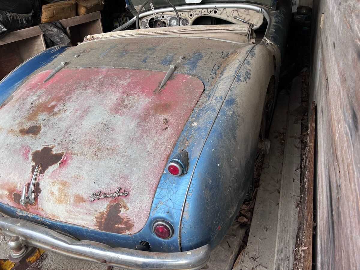 1956 Austin Healey 100 BN2 - photo 7