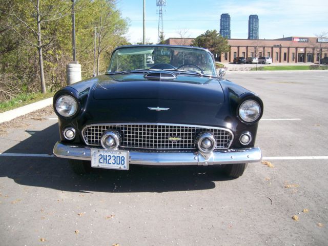 1956 Ford Thunderbird T-BIRD - photo 4