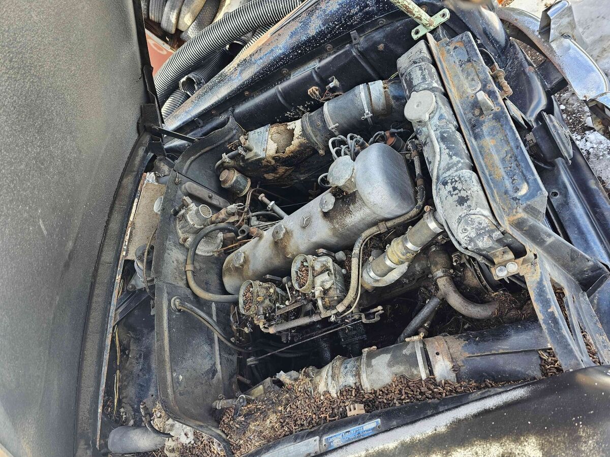 1956 Mercedes-Benz 220 S 4 Door - photo 3