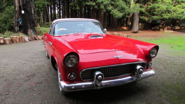1956 Ford Thunderbird CHROME - photo 2