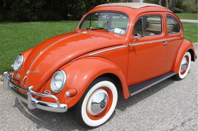 1956 Volkswagen Beetle-New Type 1 Oval-Window Open-Roof Sedan - photo 10