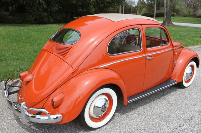 1956 Volkswagen Beetle-New Type 1 Oval-Window Open-Roof Sedan - photo 4