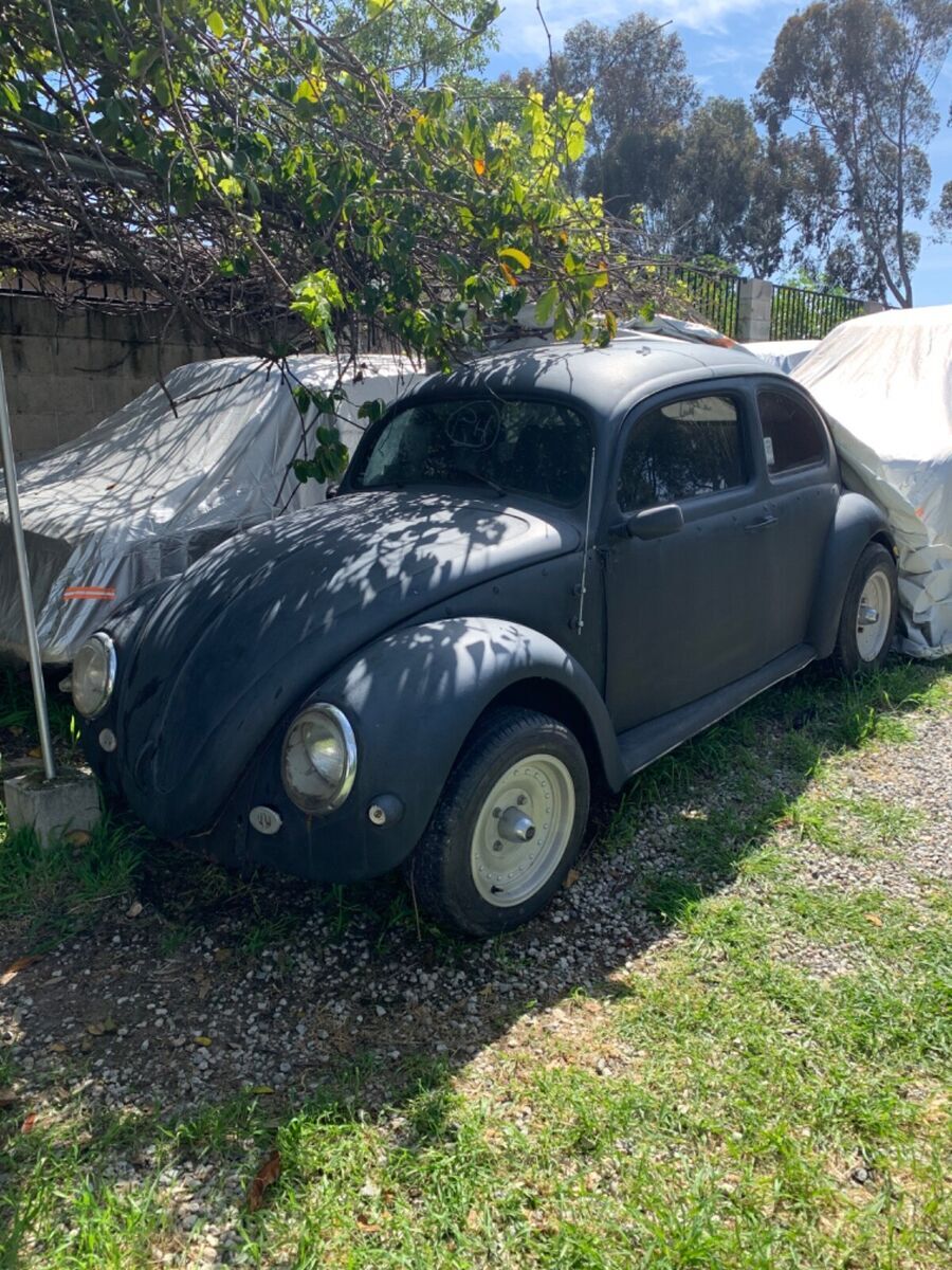 1956 Volkswagen Beetle - Classic - photo 2