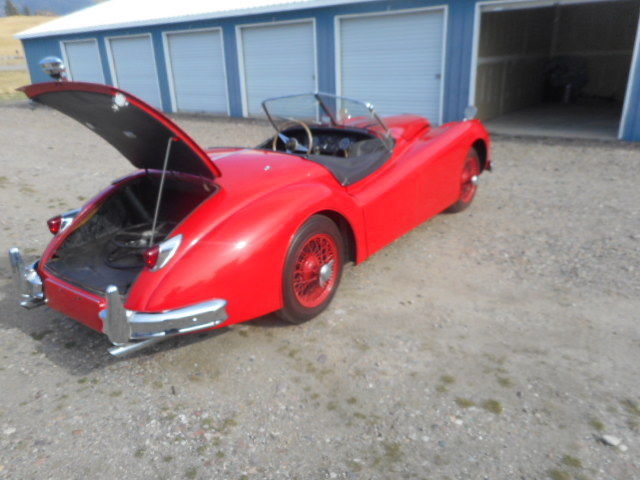 1956 Jaguar XK - photo 2