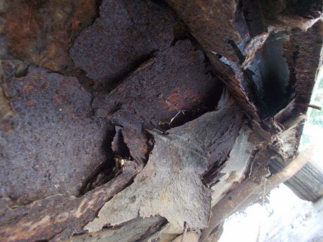 1957 Cadillac Fleetwood - photo 12