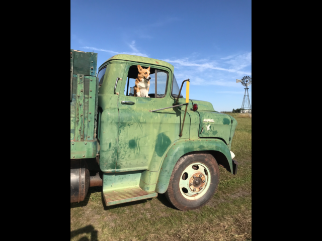 1957 Chevrolet Other Pickups - photo 5
