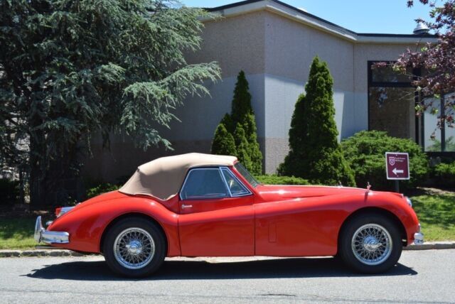 1957 Jaguar XK - photo 13
