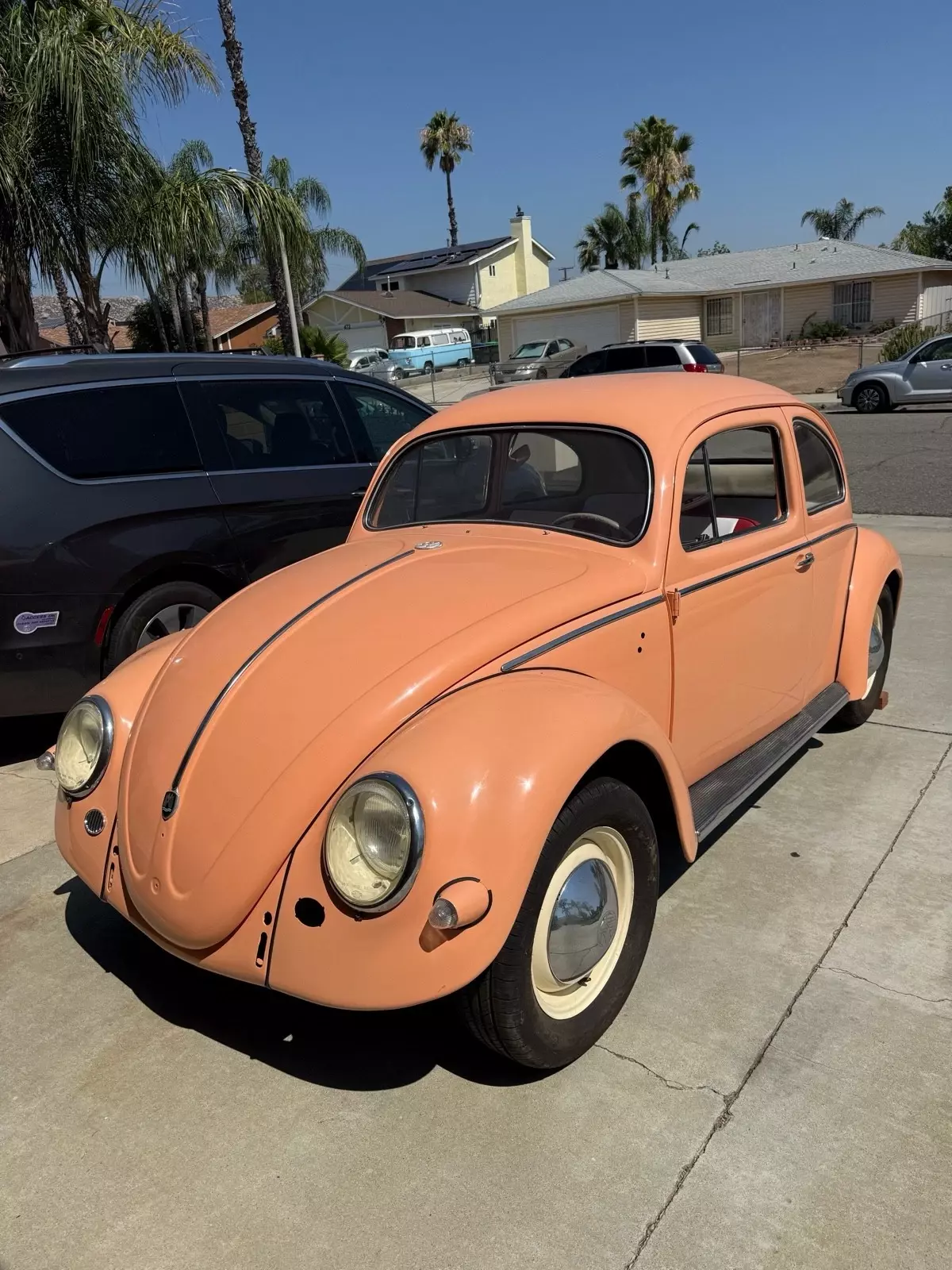 1957 Volkswagen Beetle