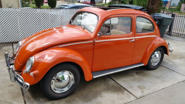 1957 Volkswagen Beetle Oval Window Rag Top No Reserve 1957 Volkswagen Beetle - Classic