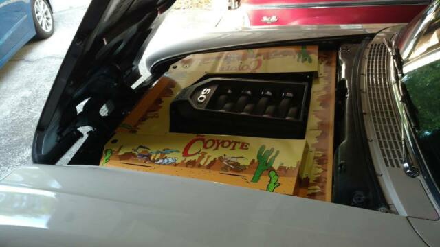 1958 Edsel Roundup - photo 6