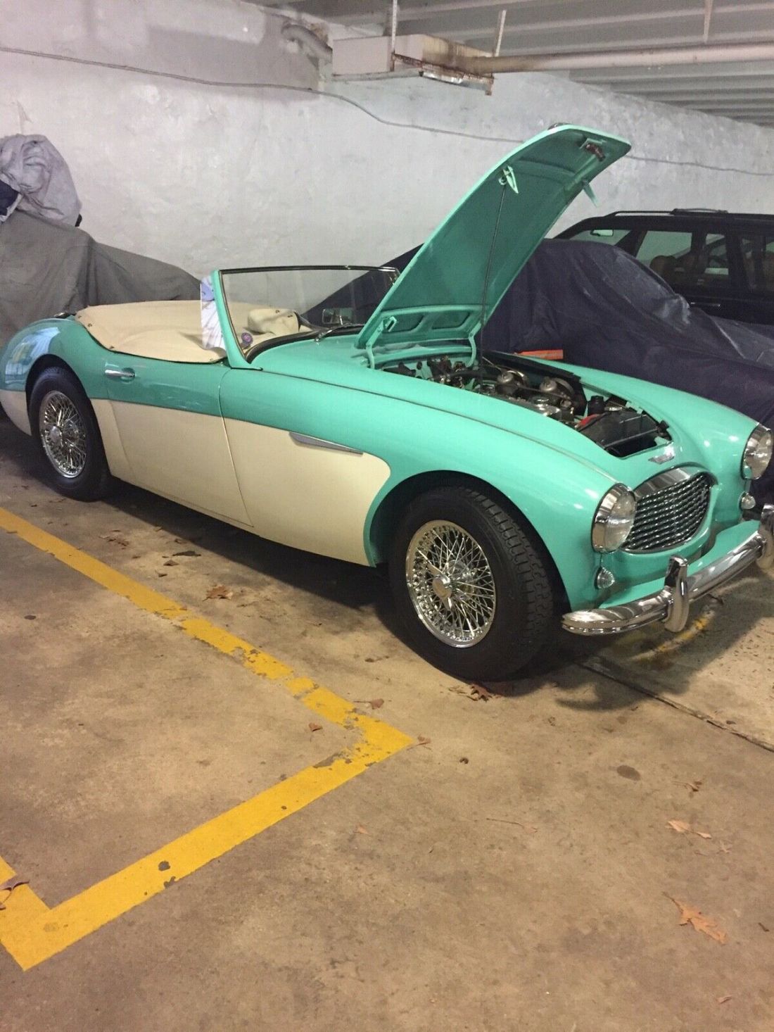 1959 Austin Healey 3000 - photo 8