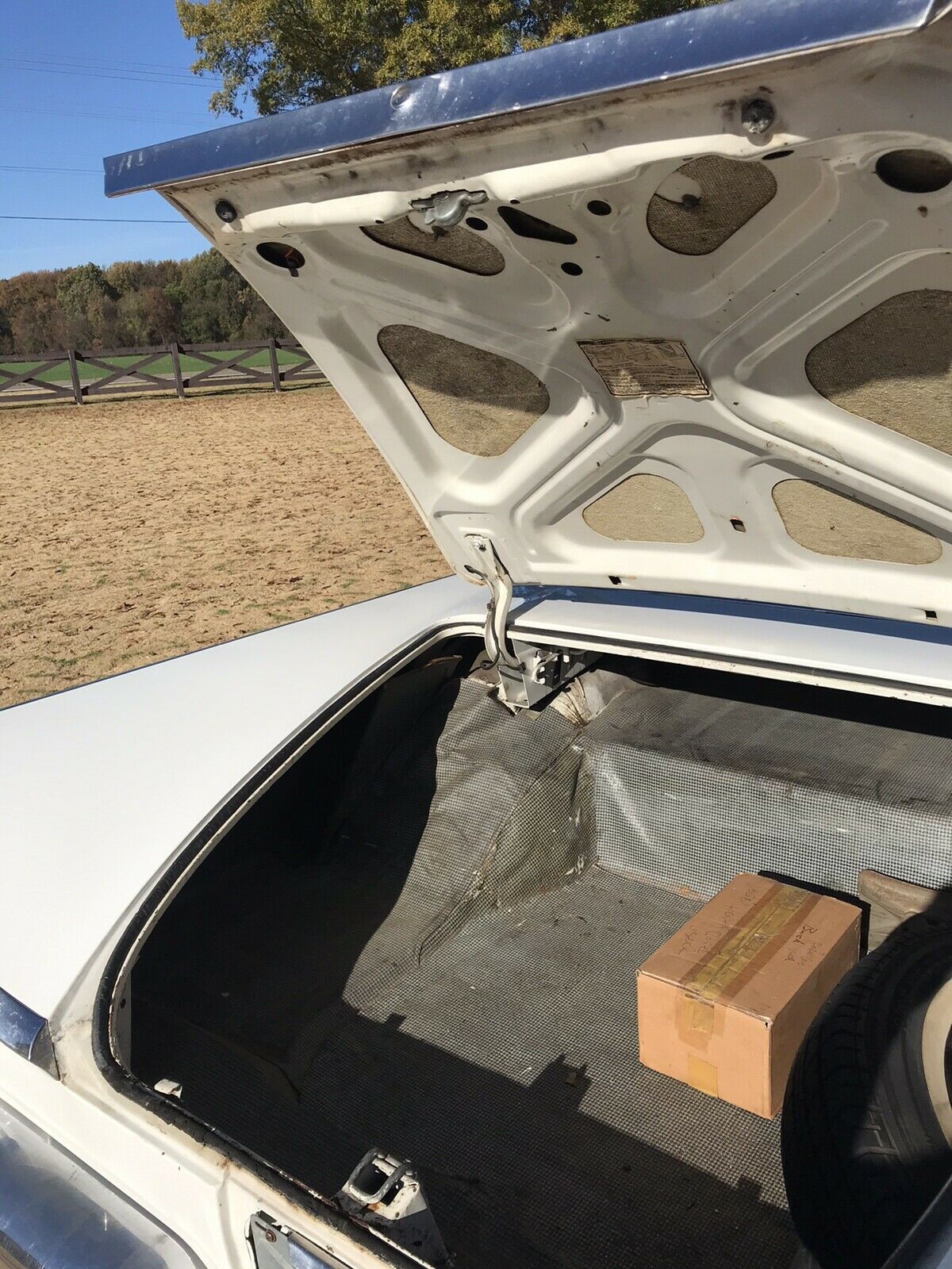 1959 Buick Invicta hardtop - photo 11