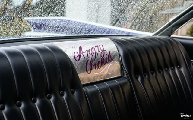 1959 Cadillac DeVille - photo 12