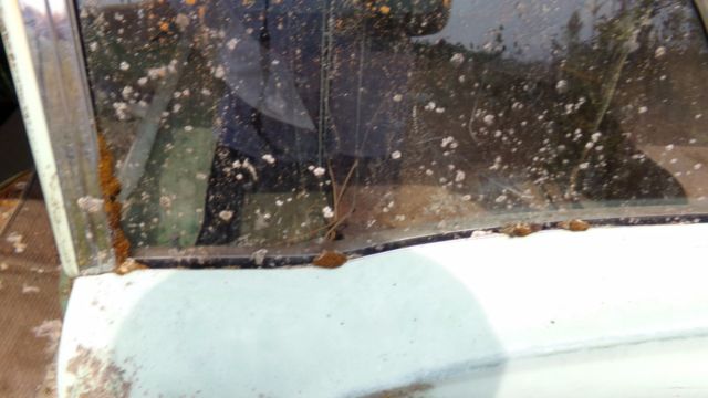 1959 Edsel Villager Station Wagon ***Great Project*** - photo 11