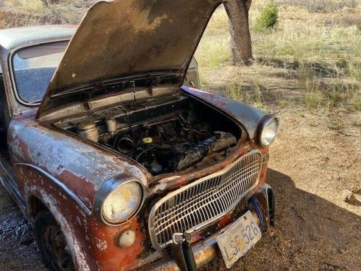 1959 Fiat 1100 - photo 5