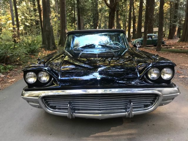 1959 Ford Thunderbird - photo 8
