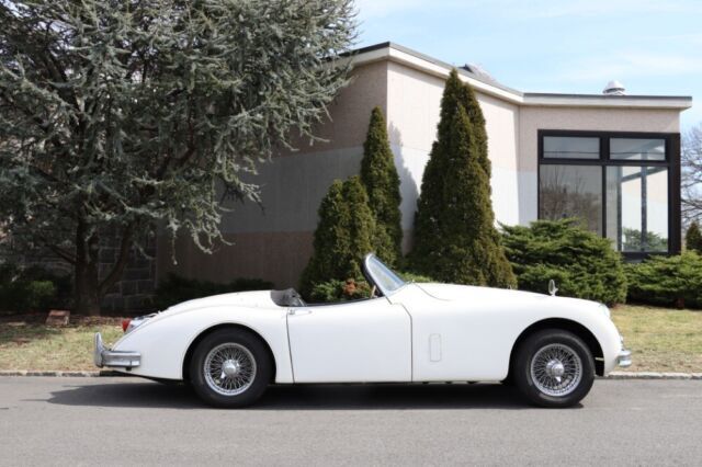 1959 Jaguar XK - photo 4