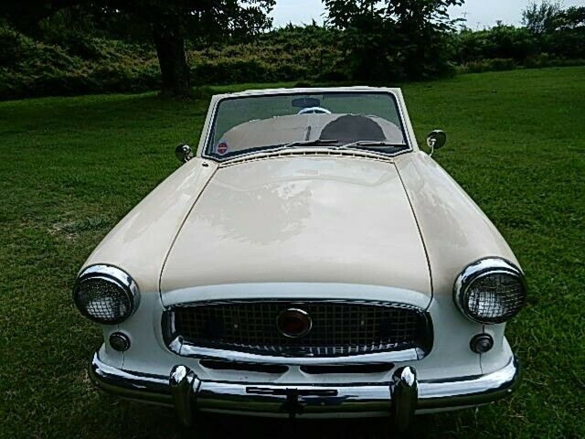 1959 Nash - photo 2
