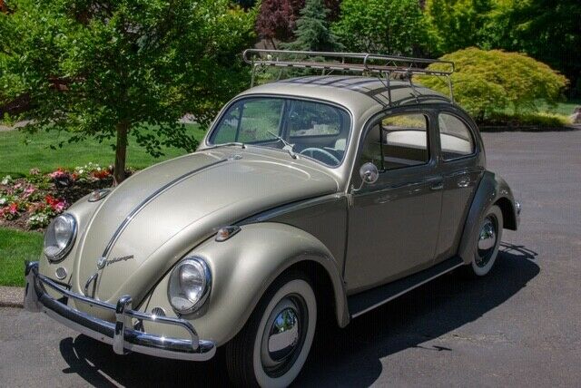 1959 Vollkwagen 1959 Volkswagen Beetle - Classic