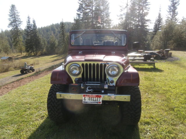 1959 Willys - photo 11