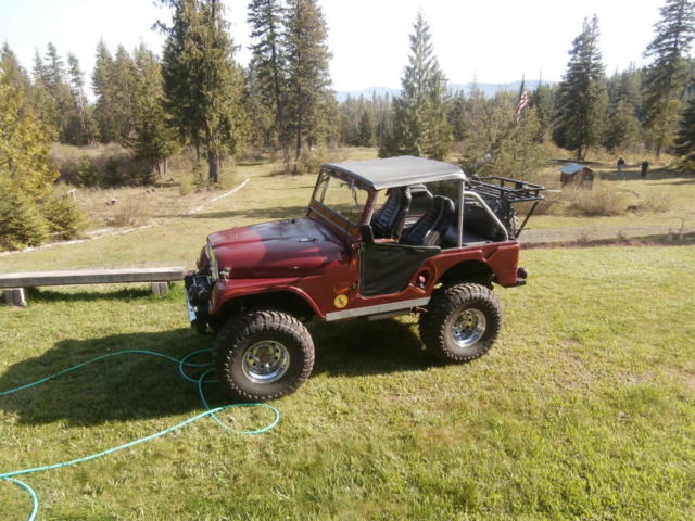 1959 Willys - photo 5