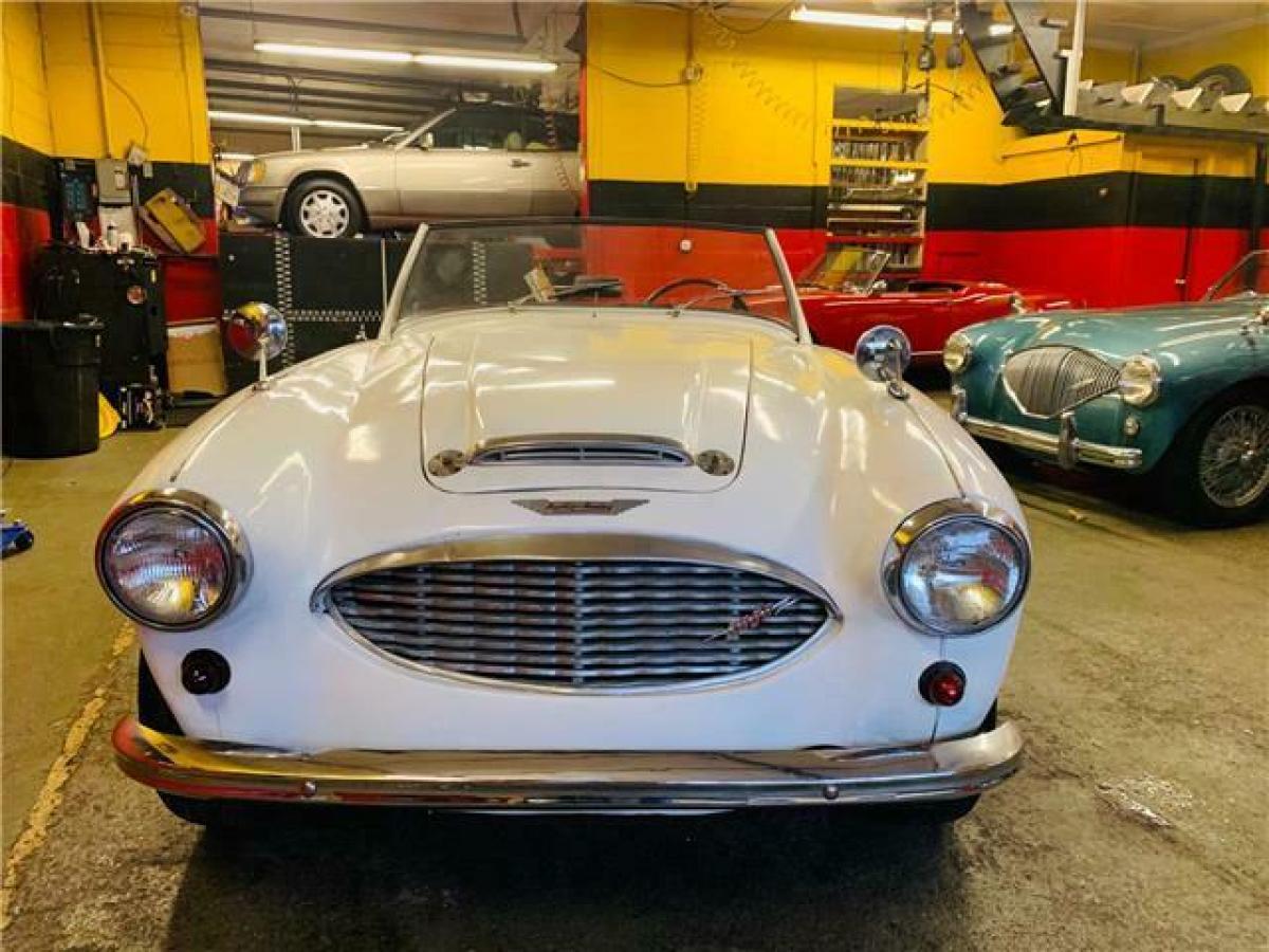 1960 Austin Healey 3000 MK I BN7 Roadster - photo 3