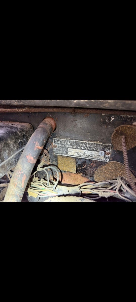 1961 Austin Healey 3000 Central California Farm Find - photo 11