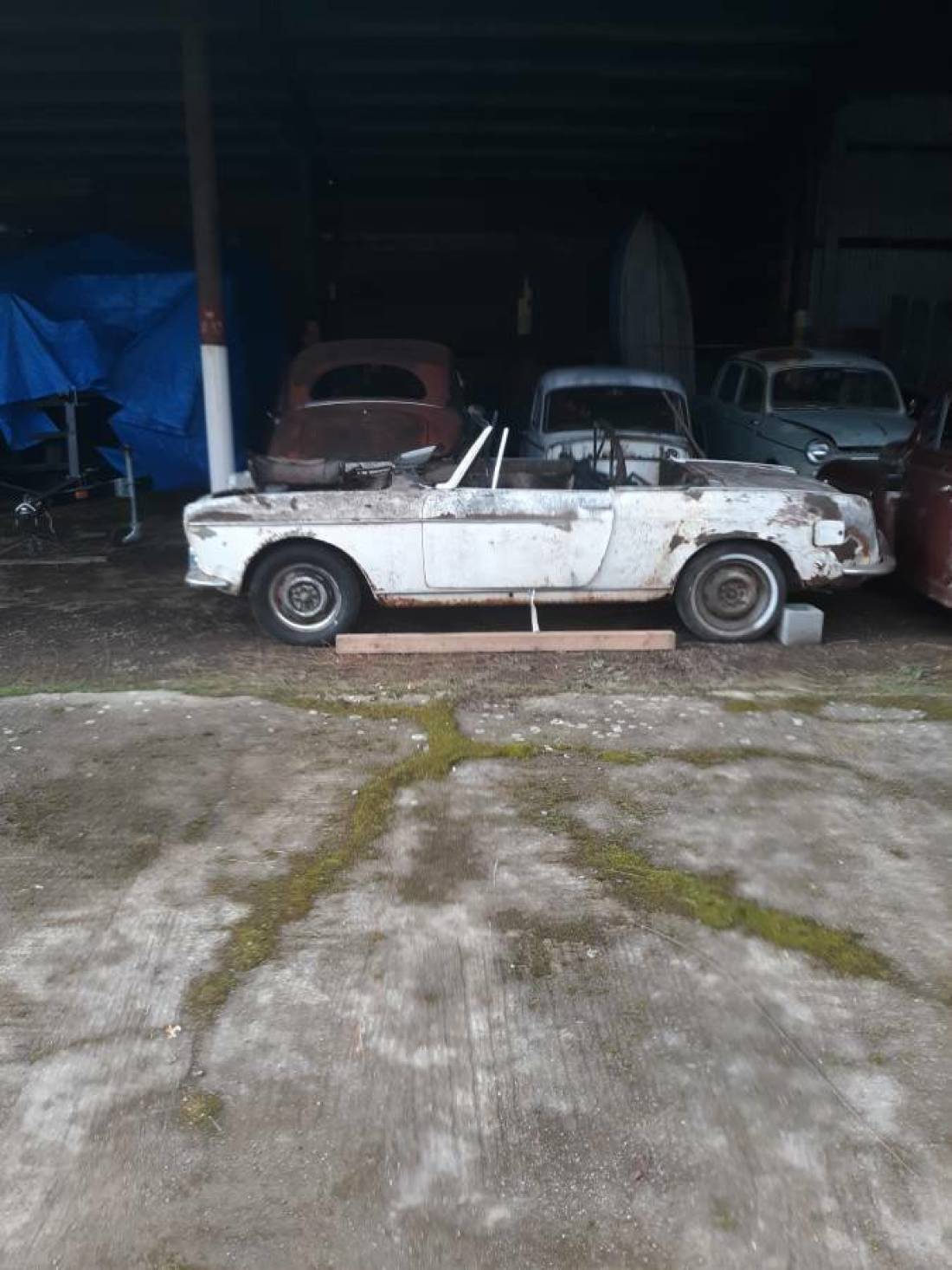 1961 Fiat Other - photo 9