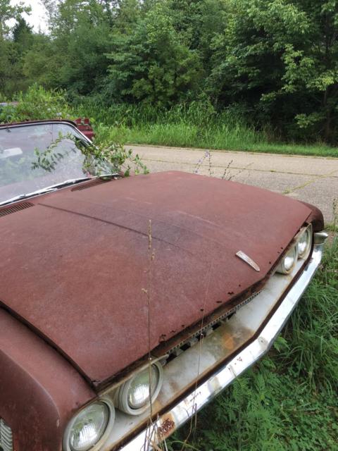 1961 Oldsmobile Eighty-Eight Clear - photo 2