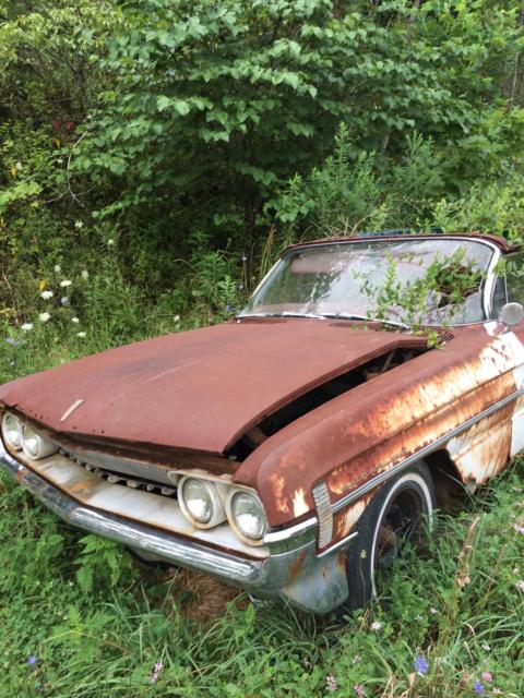 1961 Oldsmobile Eighty-Eight Clear - photo 4