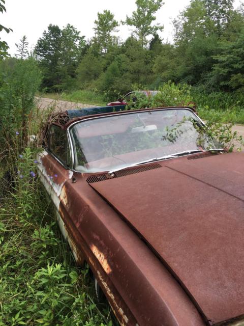 1961 Oldsmobile Eighty-Eight Clear - photo 6