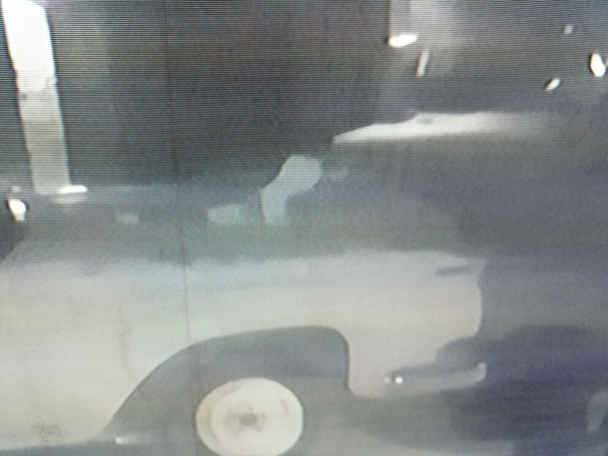 1961 Plymouth Belvedere - photo 13