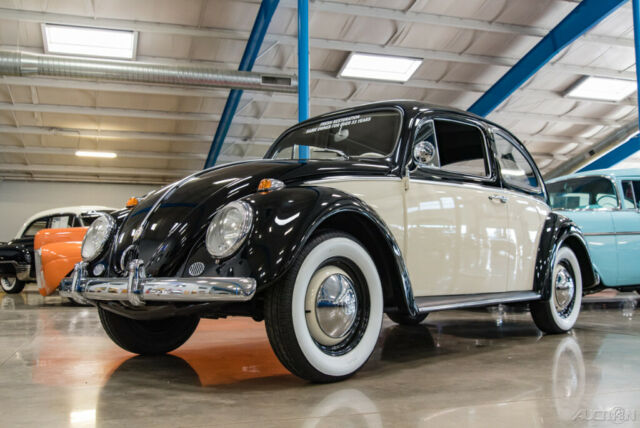 1961 Volkswagen Beetle - Classic - photo 4