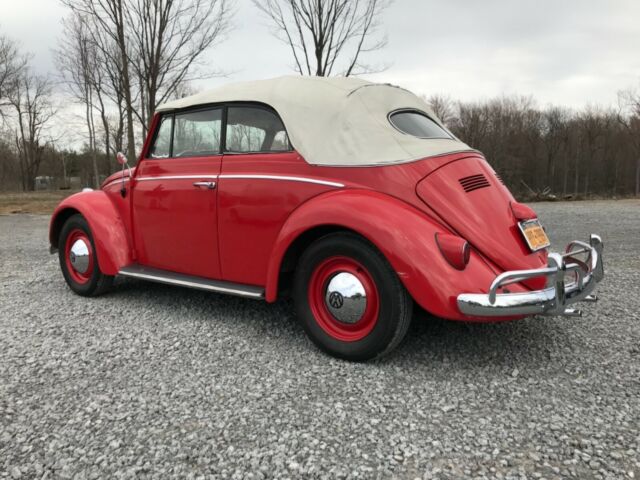 1961 Volkswagen Beetle - Classic Cabriolet - photo 3