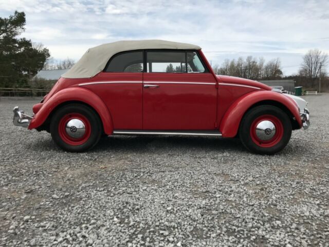 1961 Volkswagen Beetle - Classic Cabriolet - photo 6