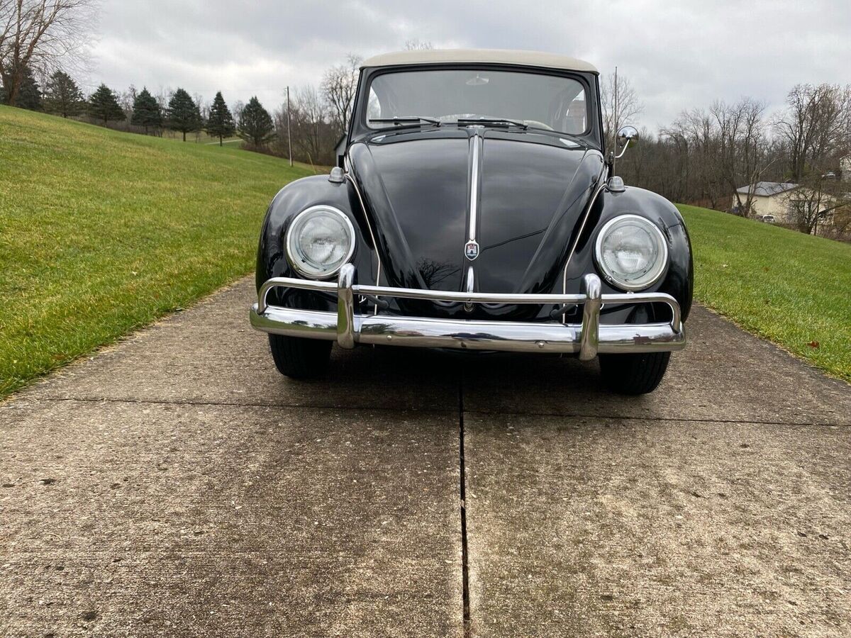 1961 Volkswagen Beetle - Classic - photo 8
