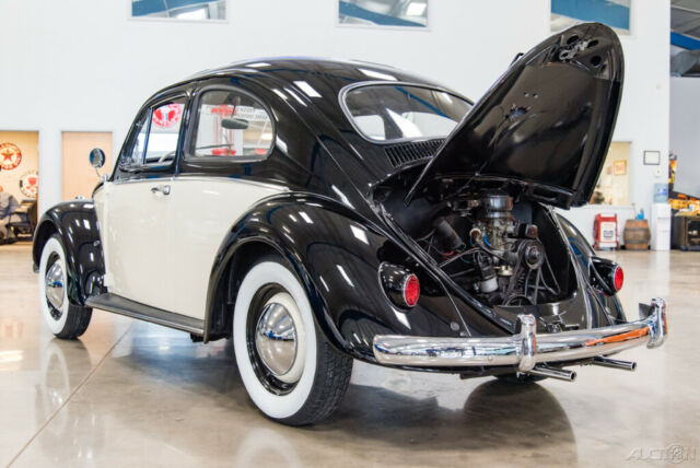 1961 Volkswagen Beetle - Classic 1961 VW Beetle Nicely Restored 2-Owner Bug - photo 10