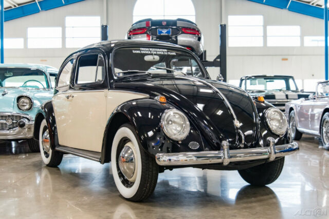 1961 Volkswagen Beetle - Classic 1961 VW Beetle Nicely Restored 2-Owner Bug - photo 2