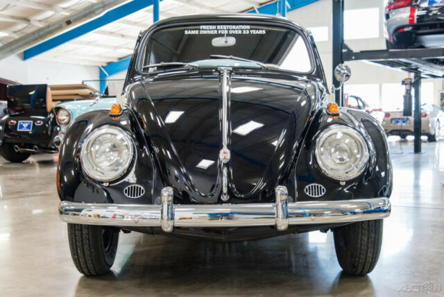1961 Volkswagen Beetle - Classic 1961 VW Beetle Nicely Restored 2-Owner Bug - photo 3