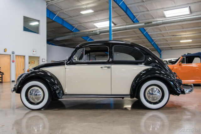 1961 Volkswagen Beetle - Classic 1961 VW Beetle Nicely Restored 2-Owner Bug - photo 5