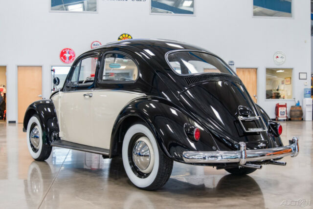 1961 Volkswagen Beetle - Classic 1961 VW Beetle Nicely Restored 2-Owner Bug - photo 6
