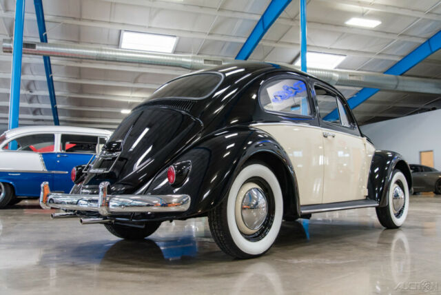 1961 Volkswagen Beetle - Classic 1961 VW Beetle Nicely Restored 2-Owner Bug - photo 8