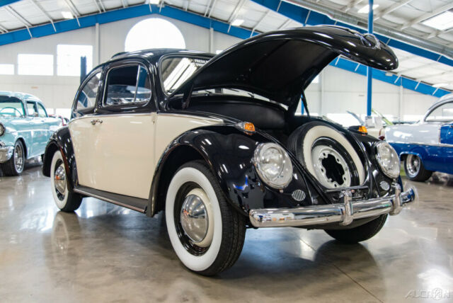 1961 Volkswagen Beetle - Classic 1961 VW Beetle Nicely Restored 2-Owner Bug - photo 9