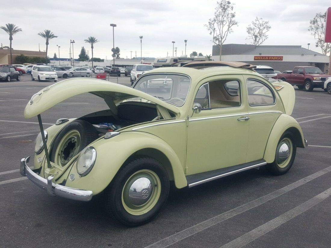 1961 Volkswagen Beetle - Classic - photo 2