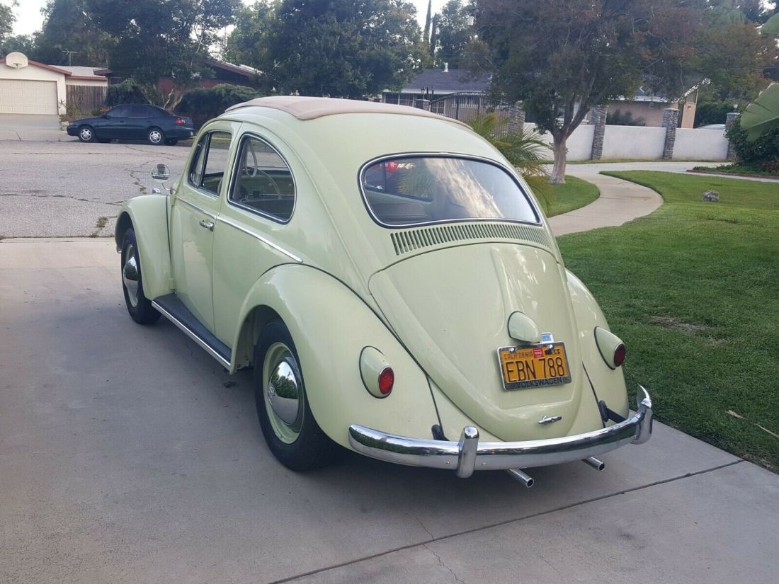1961 Volkswagen Beetle - Classic - photo 4